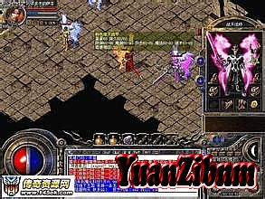 盛大传奇世界手机版